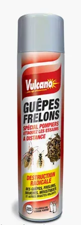 guepes frelons